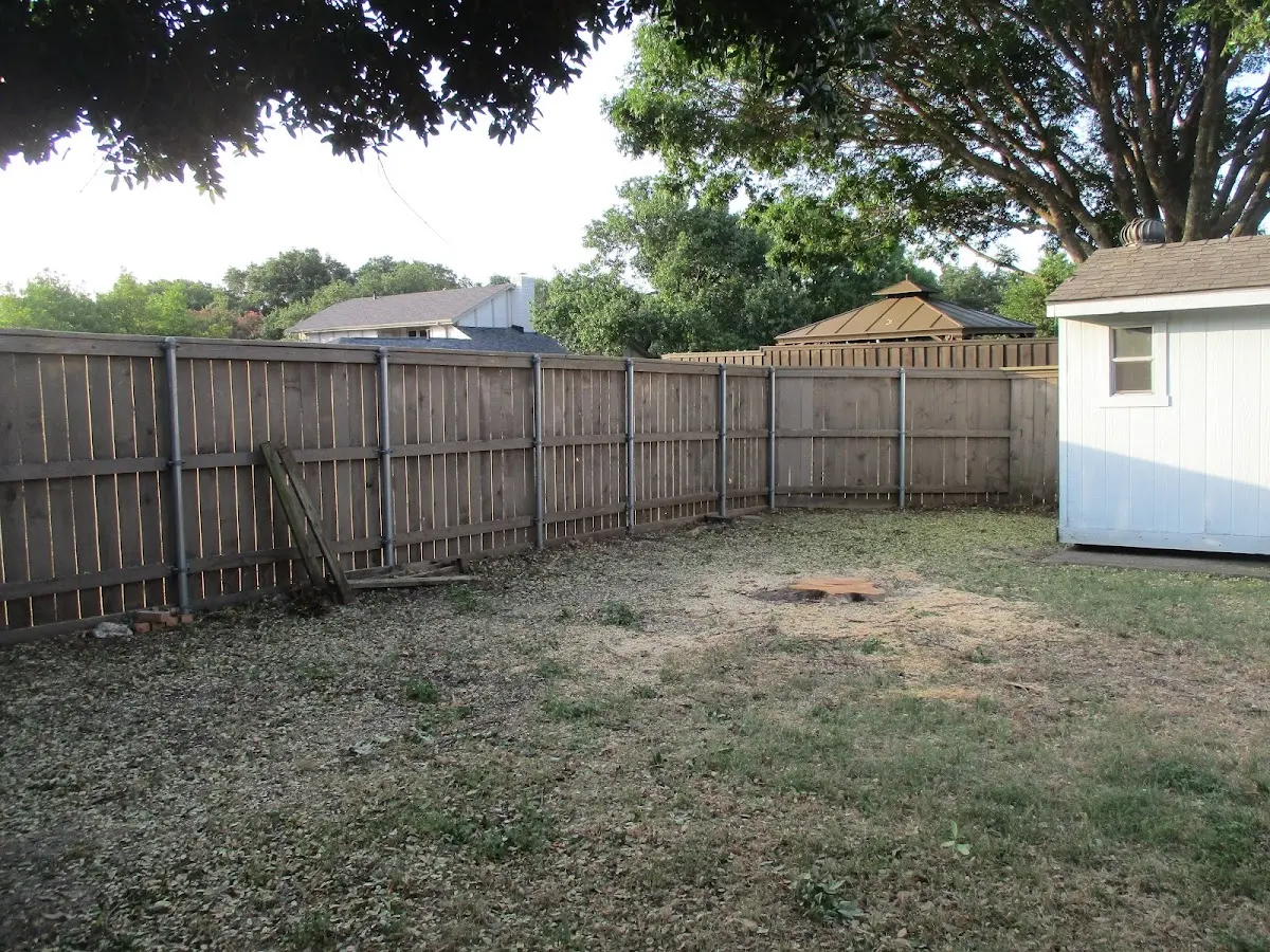 Cleared yard after professional tree removal in Mauriceville